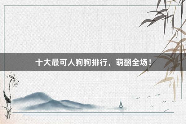 十大最可人狗狗排行，萌翻全场！