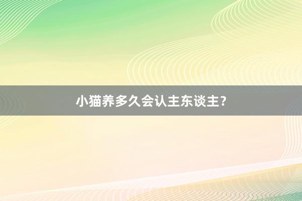 小猫养多久会认主东谈主？